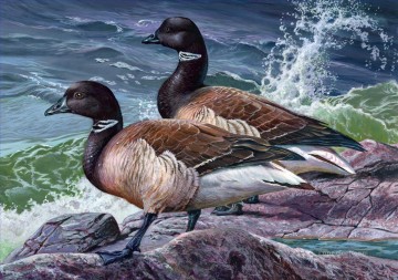 花 鳥 Painting - 岩の海辺の鳥